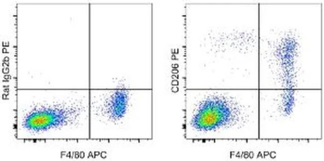 CD206 (MMR) Monoclonal Antibody (MR6F3), PE, eBioscience