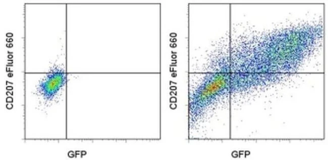 CD207 (Langerin) Monoclonal Antibody (eBioRMUL.2), eFluor 660, eBioscience