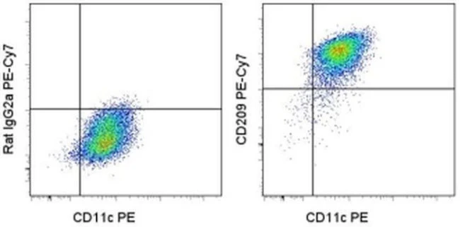 CD209 (DC-SIGN) Monoclonal Antibody (eB-h209), PE-Cyanine7, eBioscience
