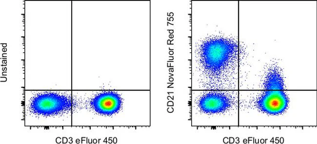CD21 Monoclonal Antibody (HB5), NovaFluor™ Red 755