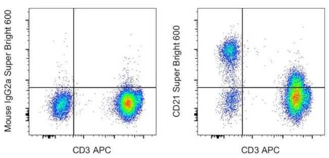 CD21 Monoclonal Antibody (HB5), Super Bright 600, eBioscience