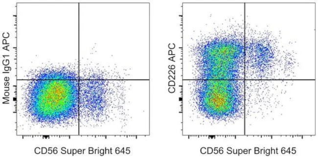 CD226 (DNAM-1) Monoclonal Antibody (11A8.7.4), APC, eBioscience