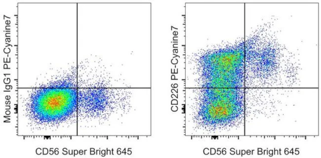 CD226 (DNAM-1) Monoclonal Antibody (11A8.7.4), PE-Cyanine7, eBioscience