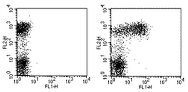 CD23 Monoclonal Antibody (B3B4), FITC, eBioscience