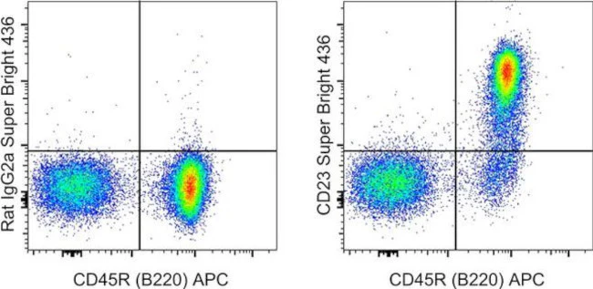 CD23 Monoclonal Antibody (B3B4), Super Bright 436, eBioscience