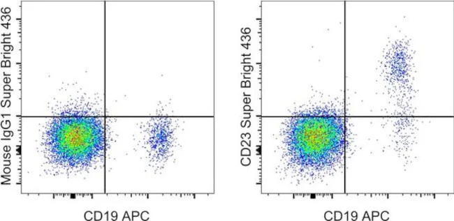 CD23 Monoclonal Antibody (EBVCS2), Super Bright 436, eBioscience