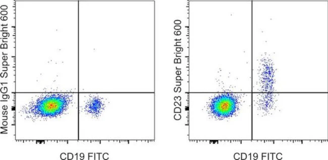 CD23 Monoclonal Antibody (EBVCS2), Super Bright 600, eBioscience