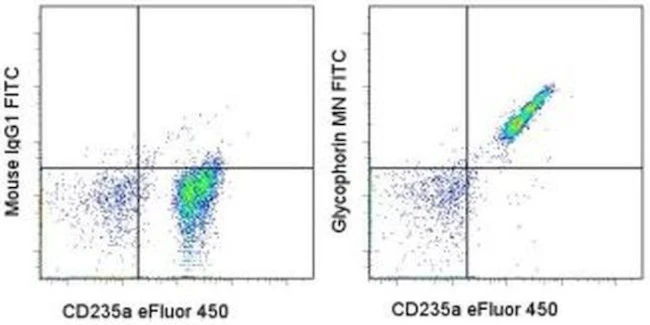 CD235a (Glycophorin A) Monoclonal Antibody (10F7MN), FITC, eBioscience
