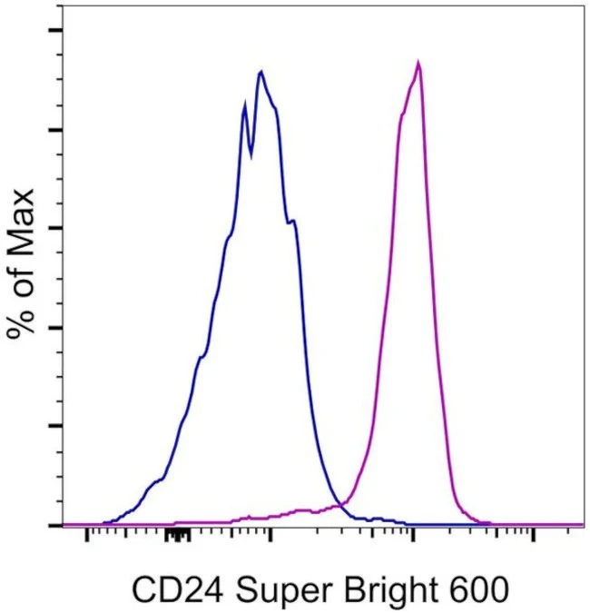 CD24 Monoclonal Antibody (eBioSN3 (SN3 A5-2H10)), Super Bright 600, eBioscience