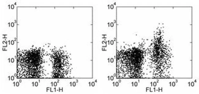 CD249 (BP-1) Monoclonal Antibody (6C3), PE, eBioscience