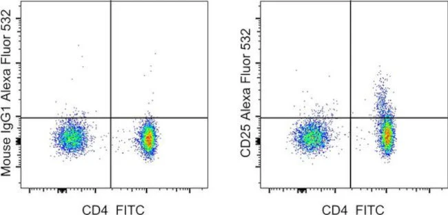 CD25 Monoclonal Antibody (BC96), Alexa Fluor 532, eBioscience
