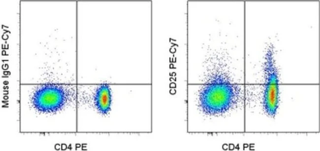 CD25 Monoclonal Antibody (BC96), PE-Cyanine7, eBioscience