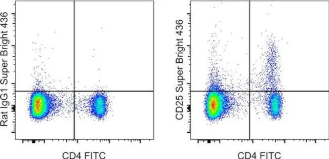 CD25 Monoclonal Antibody (PC61.5), Super Bright 436, eBioscience