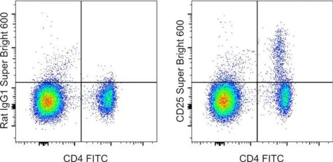 CD25 Monoclonal Antibody (PC61.5), Super Bright 600, eBioscience