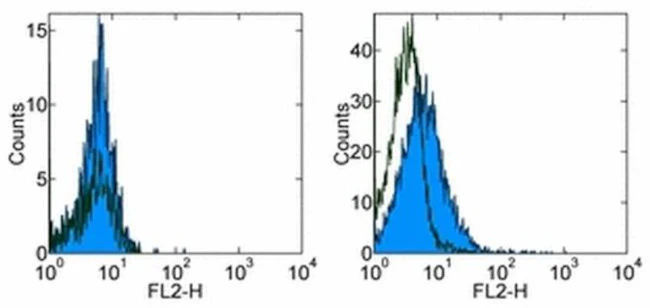 CD254 (RANK Ligand) Monoclonal Antibody (IK22/5), PE, eBioscience
