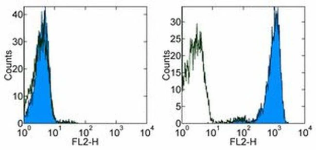 CD254 (RANK Ligand) Monoclonal Antibody (MIH24), Biotin, eBioscience
