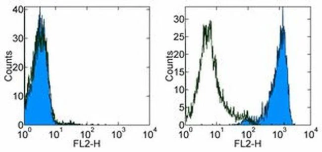 CD254 (RANK Ligand) Monoclonal Antibody (MIH24), PE, eBioscience