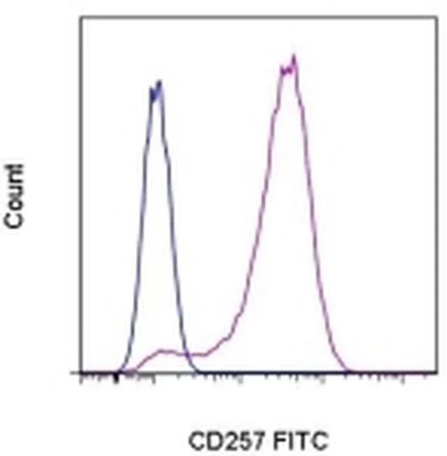 CD257 (BAFF, BLyS) Monoclonal Antibody (1D6), FITC, eBioscience