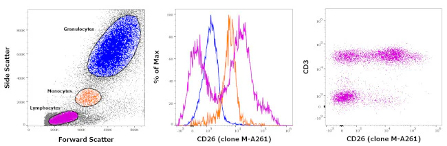 CD26 Monoclonal Antibody (M-A261), Biotin, eBioscience