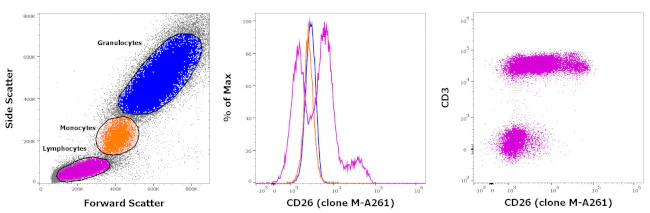 CD26 Monoclonal Antibody (M-A261), FITC, eBioscience