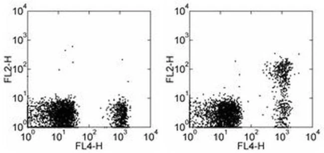 CD267 (TACI) Monoclonal Antibody (11H3), Biotin, eBioscience
