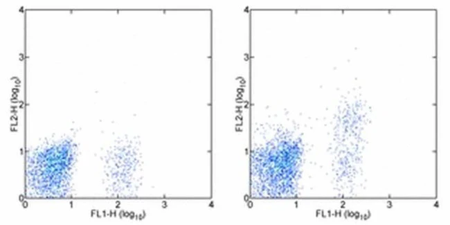 CD267 (TACI) Monoclonal Antibody (11H3), PE, eBioscience