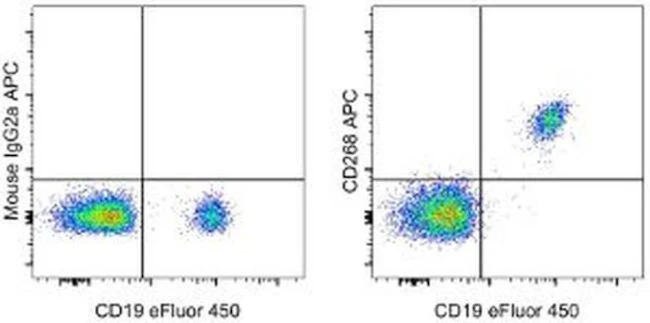 CD268 (BAFF Receptor) Monoclonal Antibody (8A7), APC, eBioscience