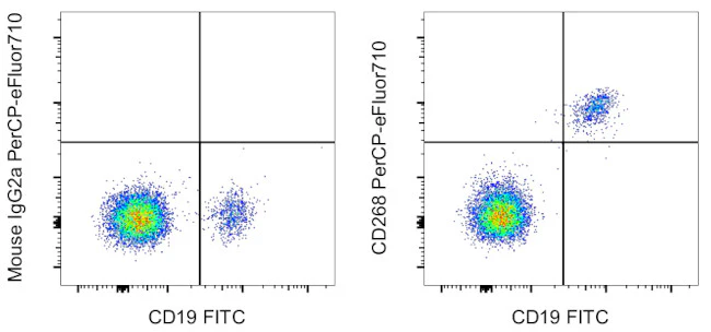 CD268 (BAFF Receptor) Monoclonal Antibody (8A7), PerCP-eFluor 710, eBioscience