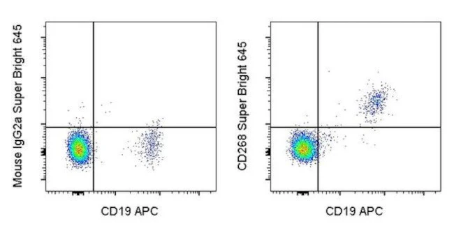 CD268 (BAFF Receptor) Monoclonal Antibody (8A7), Super Bright 645, eBioscience