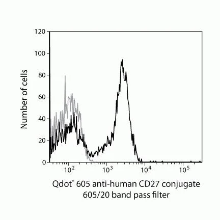 CD27 Monoclonal Antibody (CLB-27/1), Qdot 605