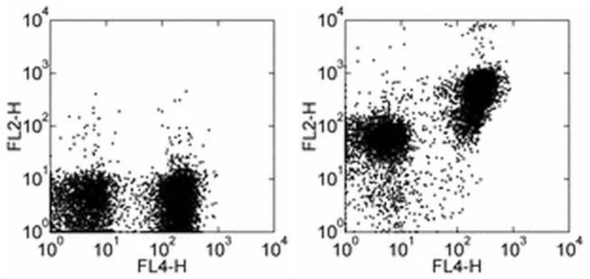 CD272 (BTLA) Monoclonal Antibody (6F7), PE, eBioscience