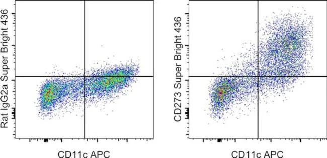 CD273 (B7-DC) Monoclonal Antibody (122), Super Bright 436, eBioscience