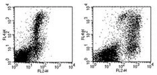 CD273 (B7-DC) Monoclonal Antibody (MIH18), Biotin, eBioscience