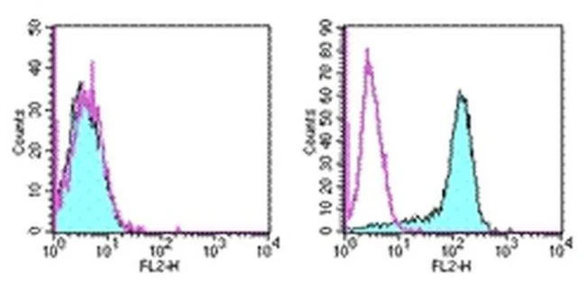 CD273 (B7-DC) Monoclonal Antibody (TY25), PE, eBioscience