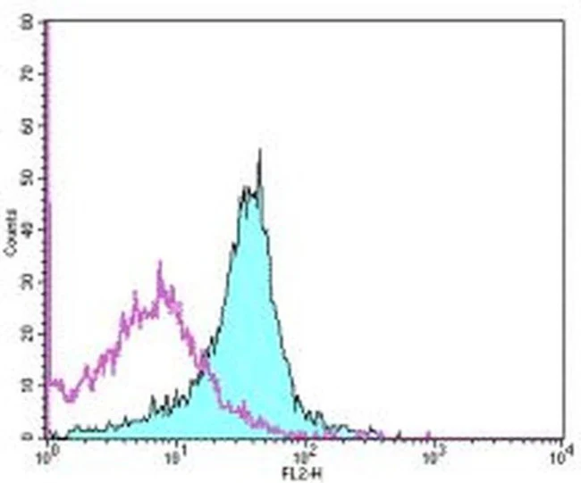 CD274 (PD-L1, B7-H1) Monoclonal Antibody (MIH5), Biotin, eBioscience