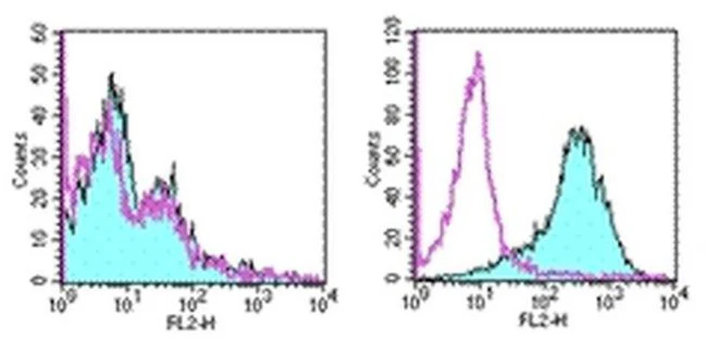 CD278 (ICOS) Monoclonal Antibody (7E.17G9), eBioscience