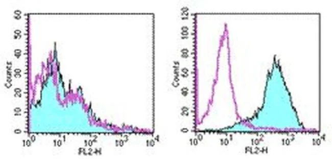 CD278 (ICOS) Monoclonal Antibody (7E.17G9), Functional Grade, eBioscience