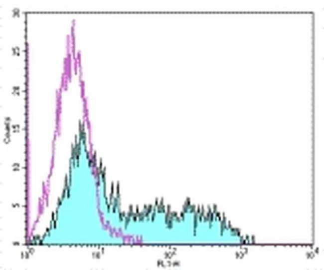 CD278 (ICOS) Monoclonal Antibody (C398.4A), Functional Grade, eBioscience