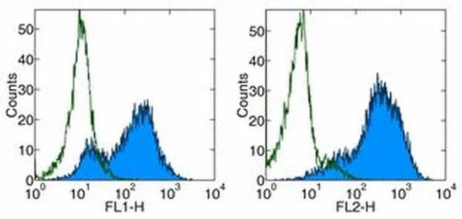 CD278 (ICOS) Monoclonal Antibody (C398.4A), PE-Cyanine5, eBioscience