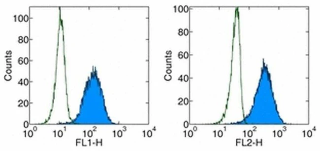 CD279 (PD-1) Monoclonal Antibody (J116), eBioscience