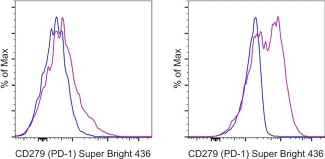 CD279 (PD-1) Monoclonal Antibody (RMP1-30), Super Bright 436, eBioscience