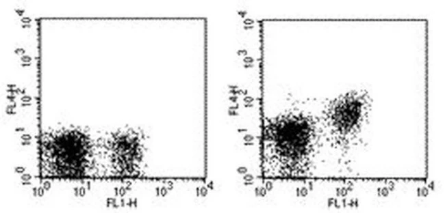 CD28 Monoclonal Antibody (37.51), APC, eBioscience