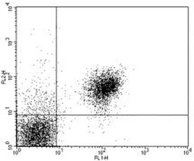 CD28 Monoclonal Antibody (37.51), Biotin, eBioscience
