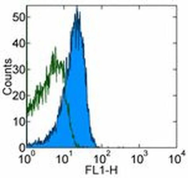 CD28 Monoclonal Antibody (37.51), eBioscience
