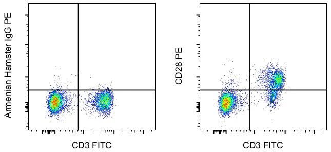 CD28 Monoclonal Antibody (37.51), PE, eBioscience