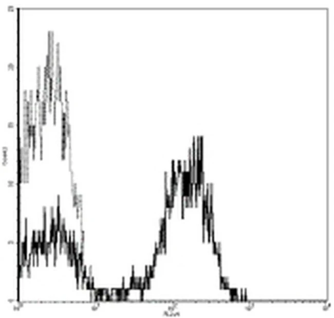 CD28 Monoclonal Antibody (CD28.2), Biotin, eBioscience