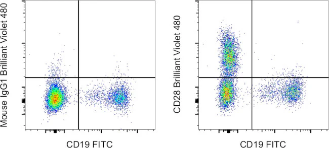 CD28 Monoclonal Antibody (CD28.2), Brilliant Violet 480, eBioscience