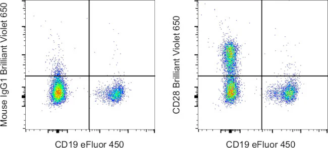 CD28 Monoclonal Antibody (CD28.2), Brilliant Violet™ 650, eBioscience™