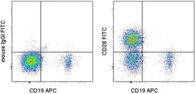 CD28 Monoclonal Antibody (CD28.2), FITC, eBioscience
