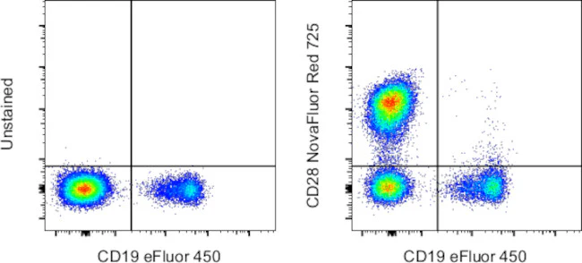 CD28 Monoclonal Antibody (CD28.2), NovaFluor™ Red 725